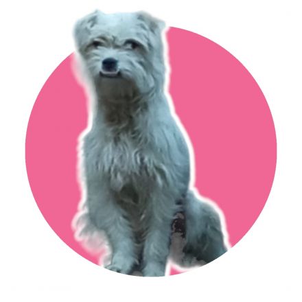 Awesome Product Image