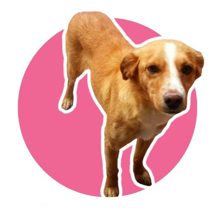 Awesome Product Image