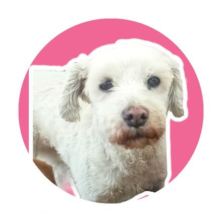 Awesome Product Image