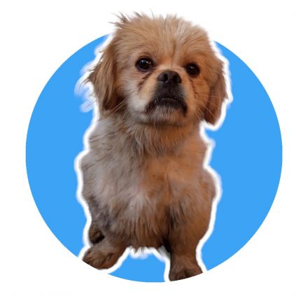 Awesome Product Image