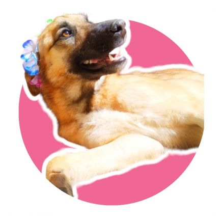 Awesome Product Image