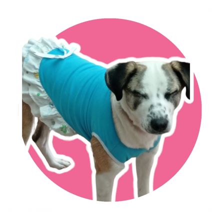 Awesome Product Image