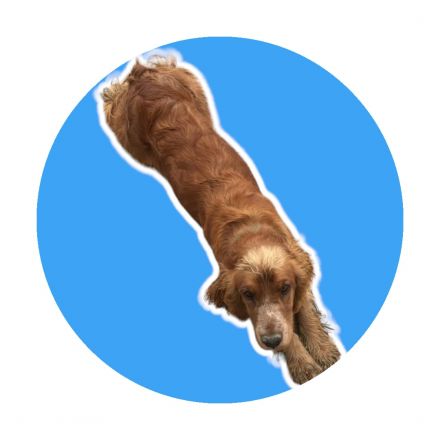 Awesome Product Image