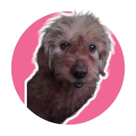 Awesome Product Image