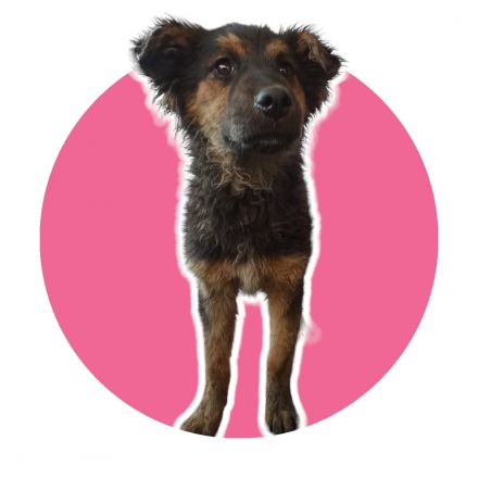 Awesome Product Image