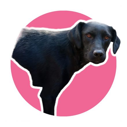 Awesome Product Image