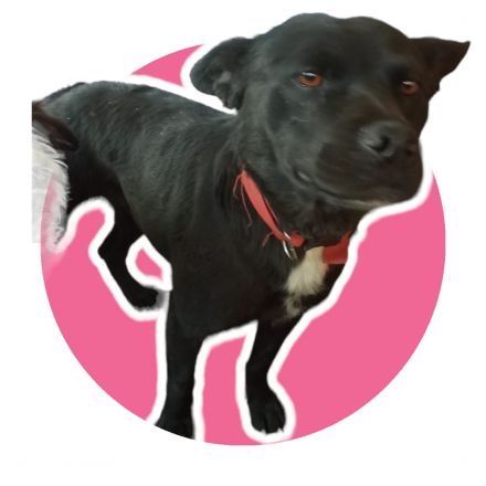 Awesome Product Image