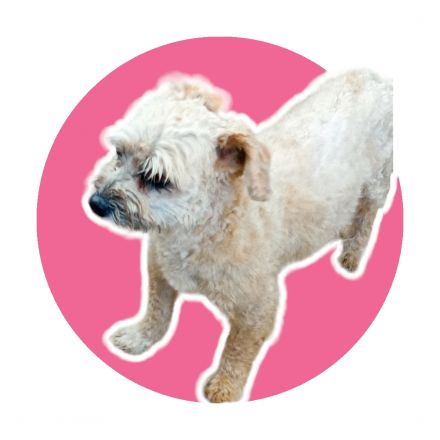 Awesome Product Image