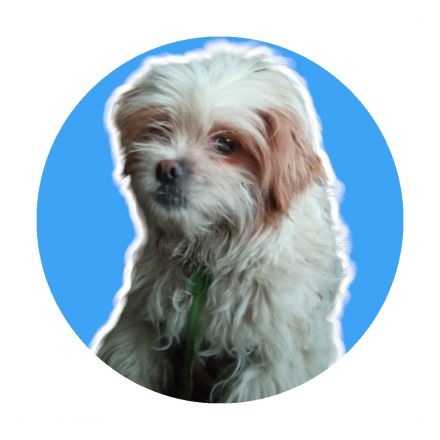 Awesome Product Image