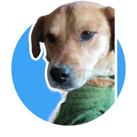 Awesome Product Image