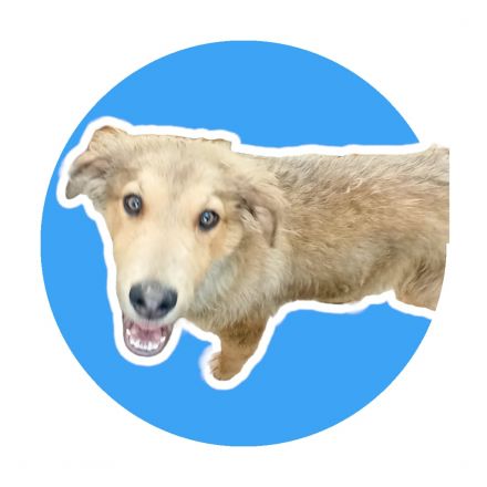 Awesome Product Image