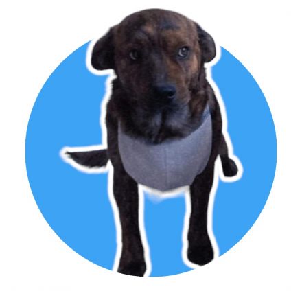 Awesome Product Image