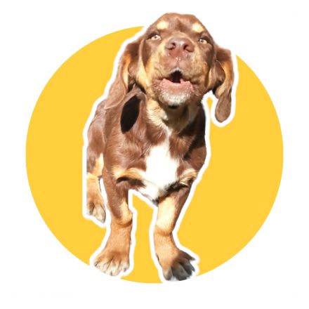 Awesome Product Image