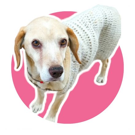 Awesome Product Image