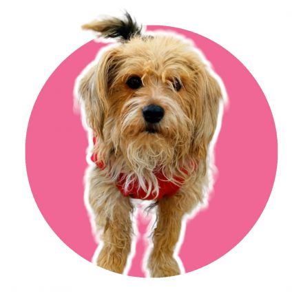 Awesome Product Image