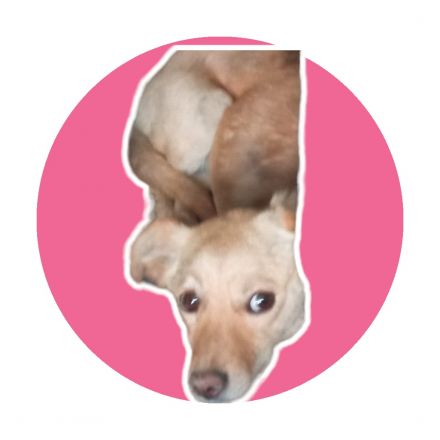 Awesome Product Image