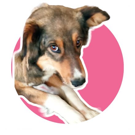 Awesome Product Image