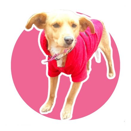 Awesome Product Image