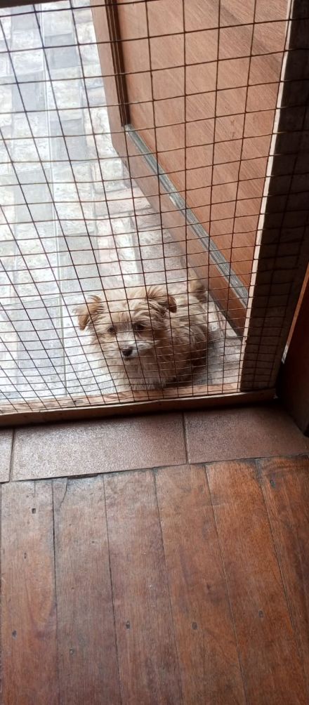 Awesome Product Image