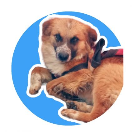 Awesome Product Image