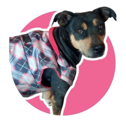 Awesome Product Image