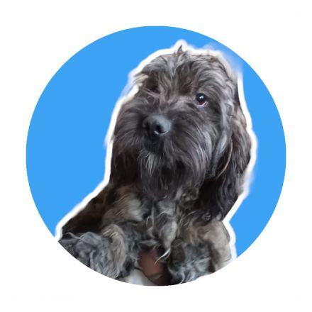 Awesome Product Image