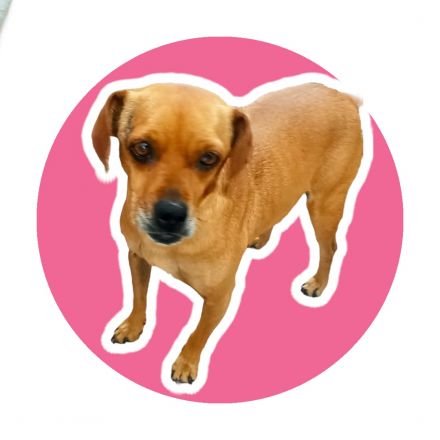 Awesome Product Image