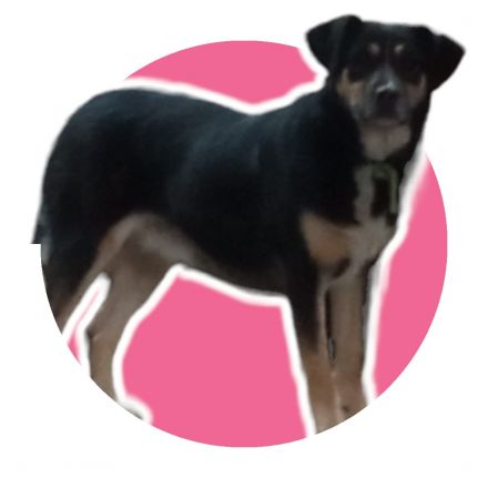 Awesome Product Image