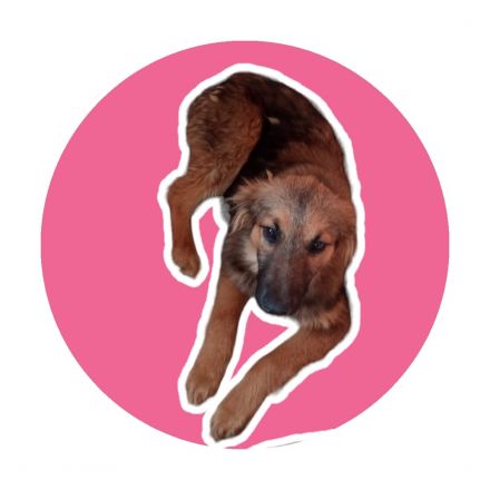 Awesome Product Image